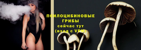 PSILOCYBIN Балахна